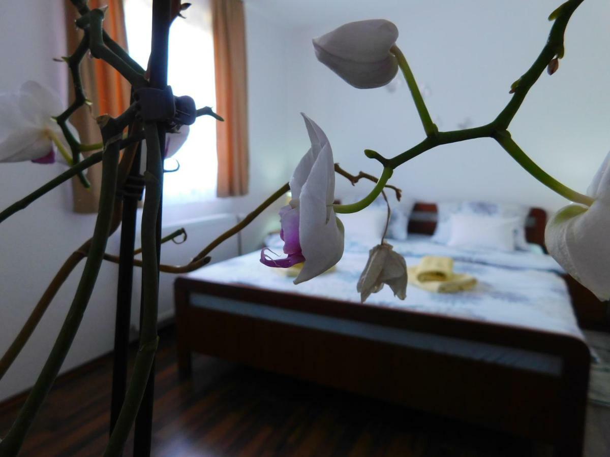Apartment Petrovic Слунь Екстер'єр фото